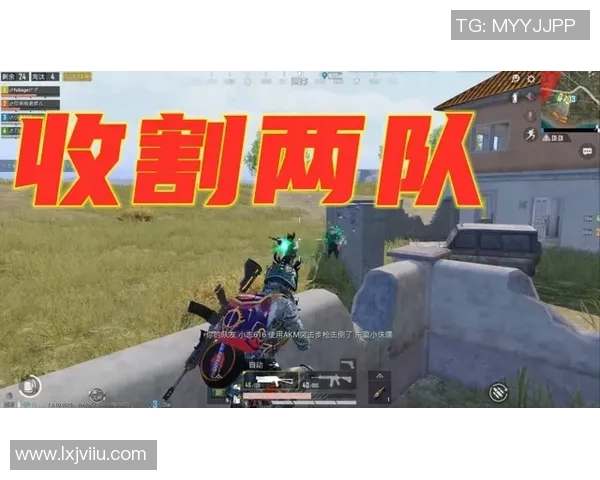 和平精英战术分析：深入探讨LNG战队的边路渗透策略与执行